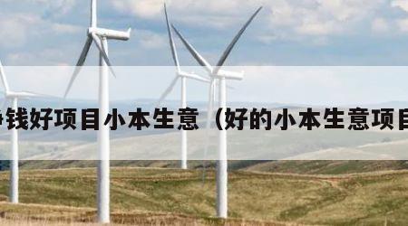 挣钱好项目小本生意（好的小本生意项目）