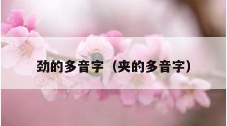 劲的多音字（夹的多音字）