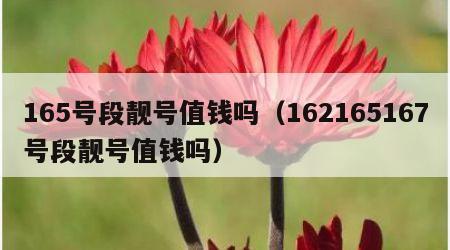 165号段靓号值钱吗（162165167号段靓号值钱吗）