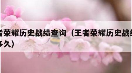 王者荣耀历史战绩查询（王者荣耀历史战绩查询多久）