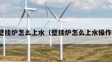 壁挂炉怎么上水（壁挂炉怎么上水操作）