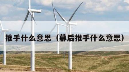 推手什么意思（幕后推手什么意思）