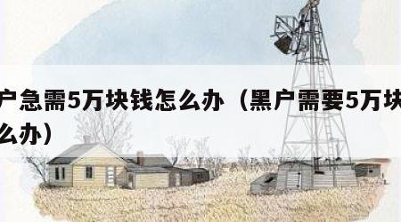 黑户急需5万块钱怎么办（黑户需要5万块钱怎么办）