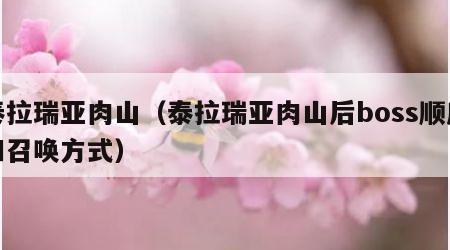 泰拉瑞亚肉山（泰拉瑞亚肉山后boss顺序和召唤方式）