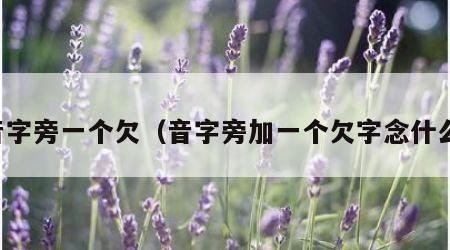 音字旁一个欠（音字旁加一个欠字念什么）