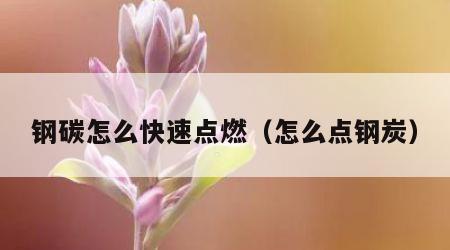 钢碳怎么快速点燃（怎么点钢炭）