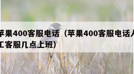 苹果400客服电话（苹果400客服电话人工客服几点上班）