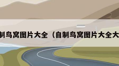 自制鸟窝图片大全（自制鸟窝图片大全大图）
