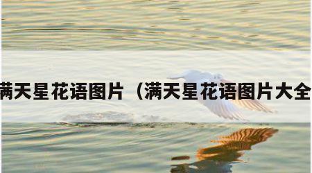 满天星花语图片（满天星花语图片大全）