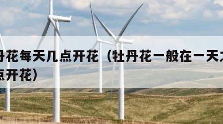 牡丹花每天几点开花（牡丹花一般在一天之内几点开花）