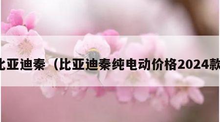 比亚迪秦（比亚迪秦纯电动价格2024款）