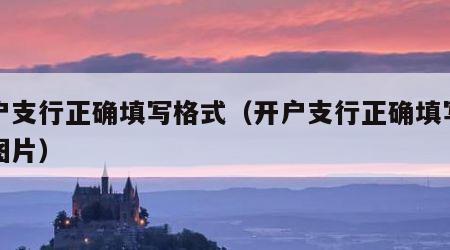 开户支行正确填写格式（开户支行正确填写格式图片）