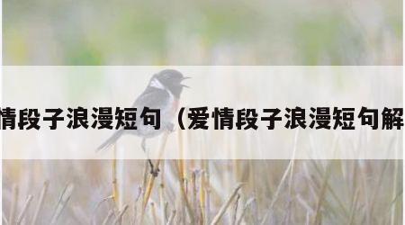 爱情段子浪漫短句（爱情段子浪漫短句解读）