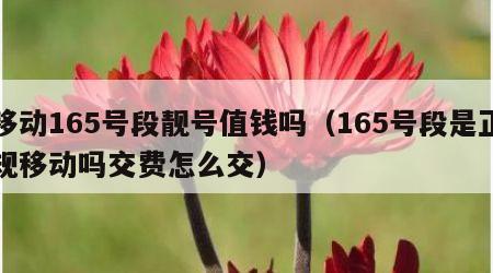 移动165号段靓号值钱吗（165号段是正规移动吗交费怎么交）