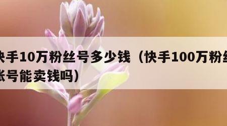 快手10万粉丝号多少钱（快手100万粉丝账号能卖钱吗）