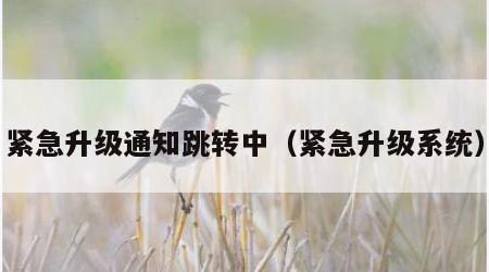 紧急升级通知跳转中（紧急升级系统）