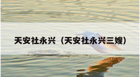 天安社永兴（天安社永兴三嫂）