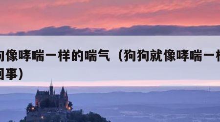 狗狗像哮喘一样的喘气（狗狗就像哮喘一样怎么回事）