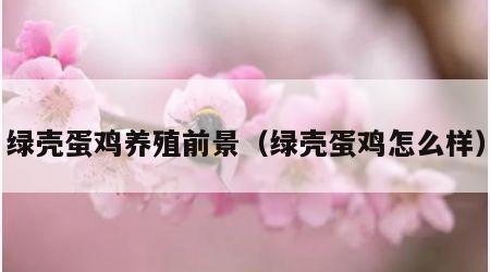 绿壳蛋鸡养殖前景（绿壳蛋鸡怎么样）