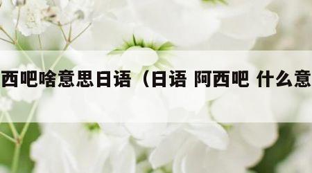 阿西吧啥意思日语（日语 阿西吧 什么意思）