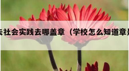没去社会实践去哪盖章（学校怎么知道章是假的）