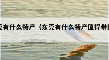 东莞有什么特产（东莞有什么特产值得带回家）
