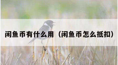 闲鱼币有什么用（闲鱼币怎么抵扣）