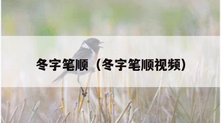 冬字笔顺（冬字笔顺视频）