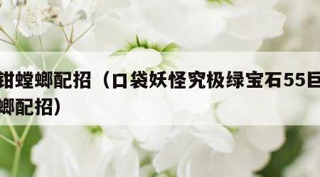 巨钳螳螂配招（口袋妖怪究极绿宝石55巨钳螳螂配招）
