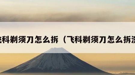 飞科剃须刀怎么拆（飞科剃须刀怎么拆洗）