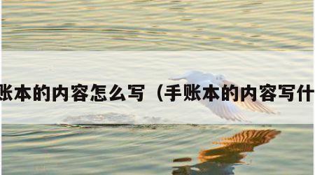 手账本的内容怎么写（手账本的内容写什么）