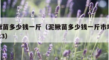 泥鳅苗多少钱一斤（泥鳅苗多少钱一斤市场价2023）