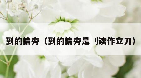 到的偏旁（到的偏旁是刂读作立刀）