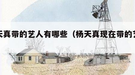 杨天真带的艺人有哪些（杨天真现在带的艺人）