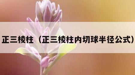 正三棱柱（正三棱柱内切球半径公式）