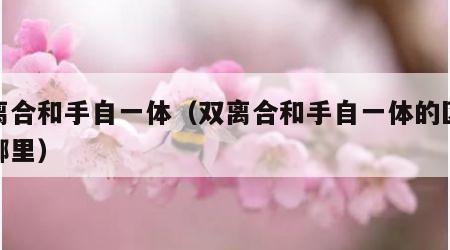 双离合和手自一体（双离合和手自一体的区别在哪里）