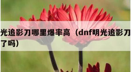 明光追影刀哪里爆率高（dnf明光追影刀绝版了吗）