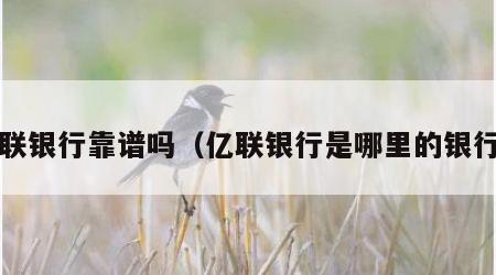 亿联银行靠谱吗（亿联银行是哪里的银行?）