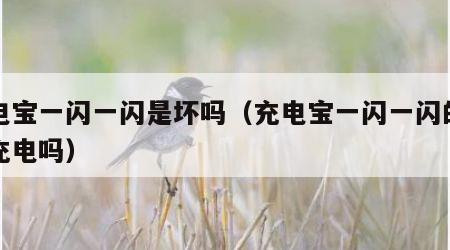 充电宝一闪一闪是坏吗（充电宝一闪一闪的是在充电吗）