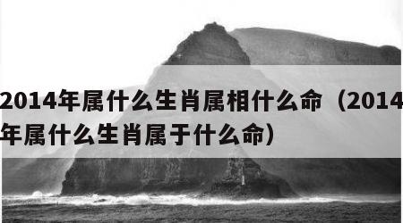 2014年属什么生肖属相什么命（2014年属什么生肖属于什么命）