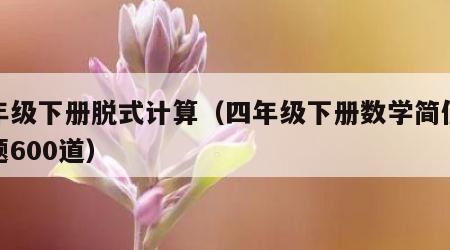 四年级下册脱式计算（四年级下册数学简便运算题600道）