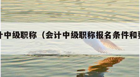 会计中级职称（会计中级职称报名条件和要求）
