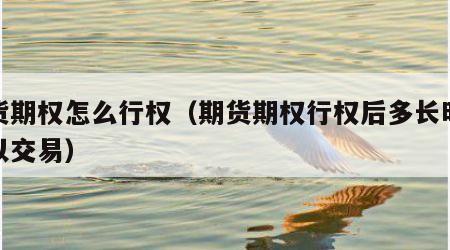期货期权怎么行权（期货期权行权后多长时间可以交易）