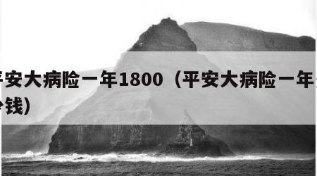 平安大病险一年1800（平安大病险一年多少钱）
