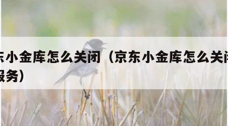 京东小金库怎么关闭（京东小金库怎么关闭定投服务）