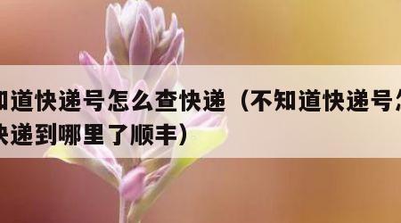不知道快递号怎么查快递（不知道快递号怎么查快递到哪里了顺丰）