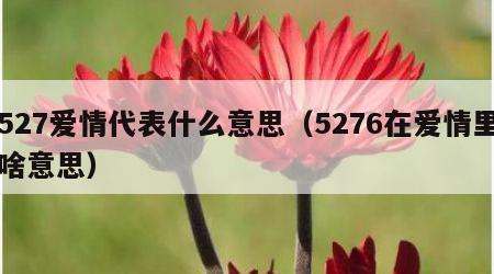 527爱情代表什么意思（5276在爱情里啥意思）