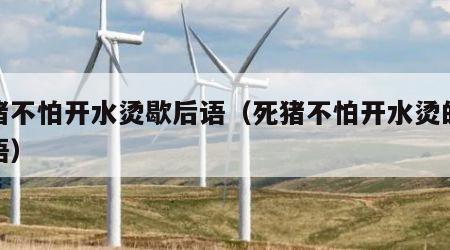 死猪不怕开水烫歇后语（死猪不怕开水烫的歇后语）