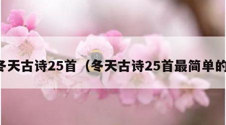 冬天古诗25首（冬天古诗25首最简单的）