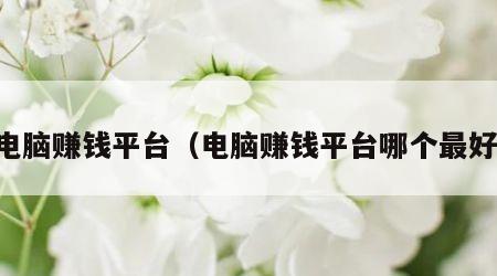 电脑赚钱平台（电脑赚钱平台哪个最好）